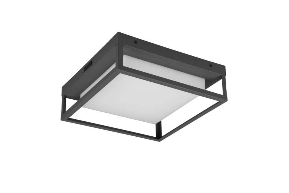 Led plafondlamp Witham voor buiten Trio 4017807529326