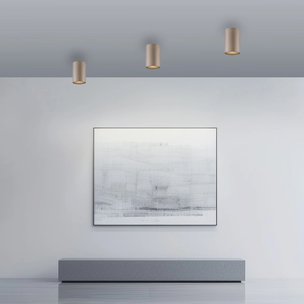 Plafond opbouwspot Pure Point Ø 6cm - bronce Paul Neuhaus 4012248395691