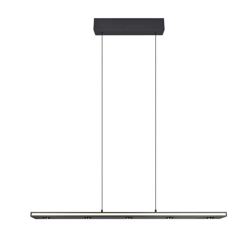 Design hanglamp Graham zwart Trio 4017807642919