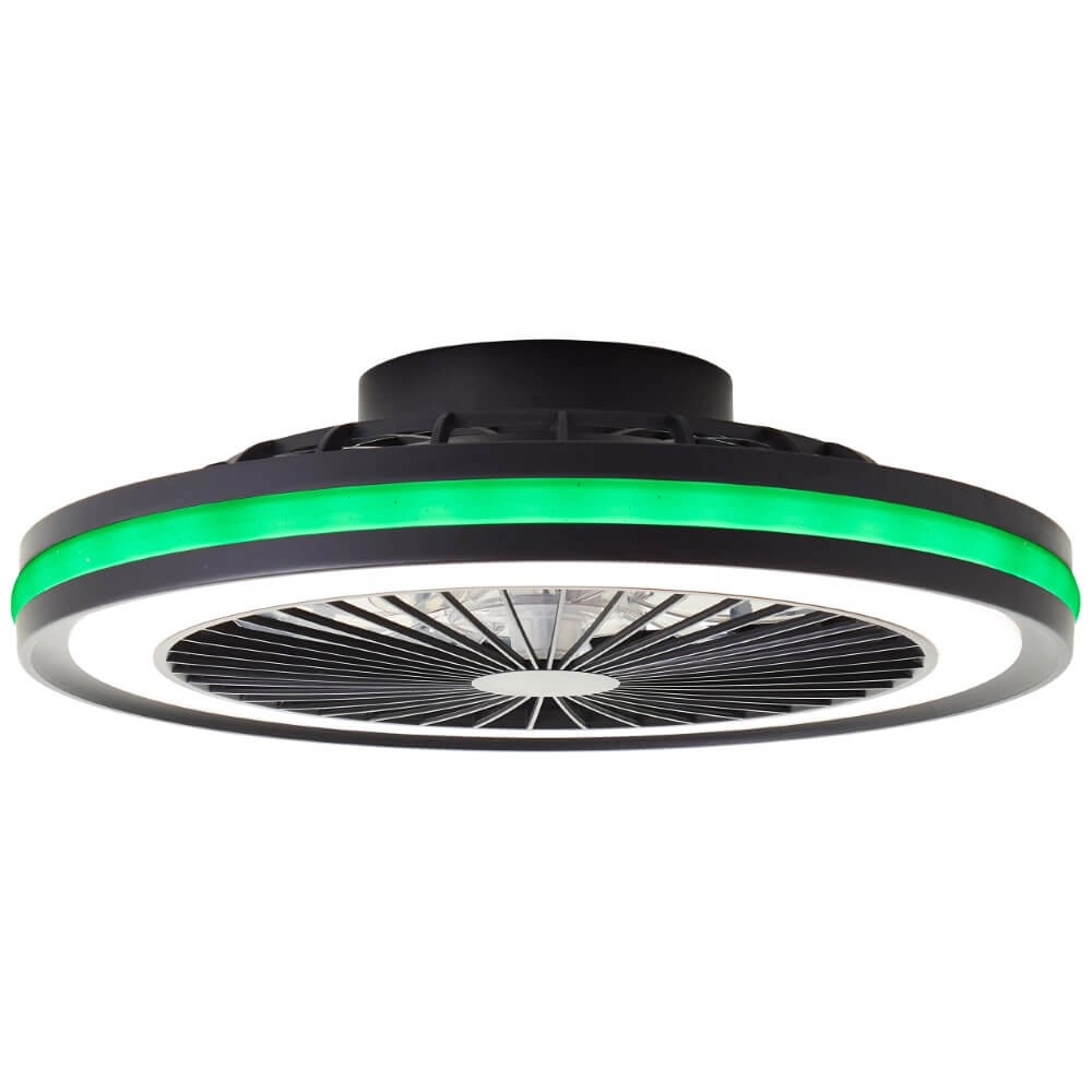Plafondventilator Palmero met RGB functie Brilliant 4004353425189
