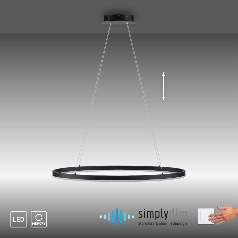 Antraciete hanglamp Titus Ø 80cm Paul Neuhaus 4012248375211