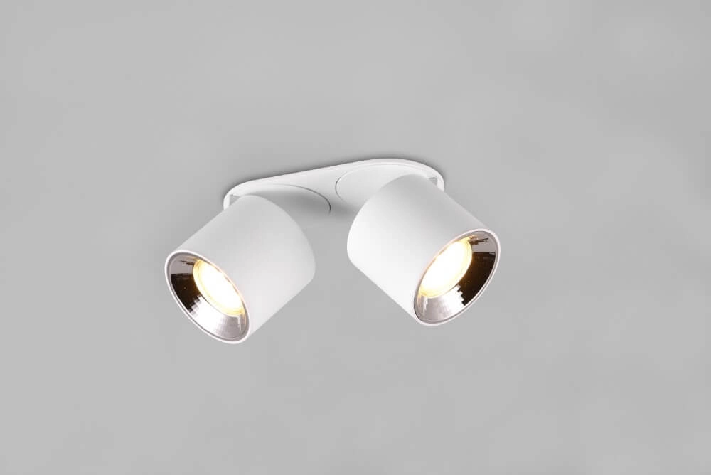Plafondlamp Guayana 2-lichts wit Trio 4017807573954