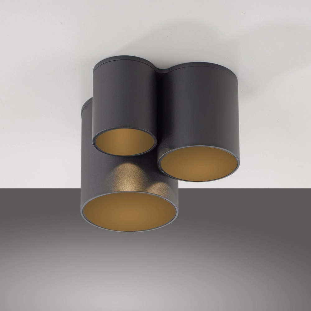 3L plafondlamp Pure Point black pearl Paul Neuhaus 4012248395714