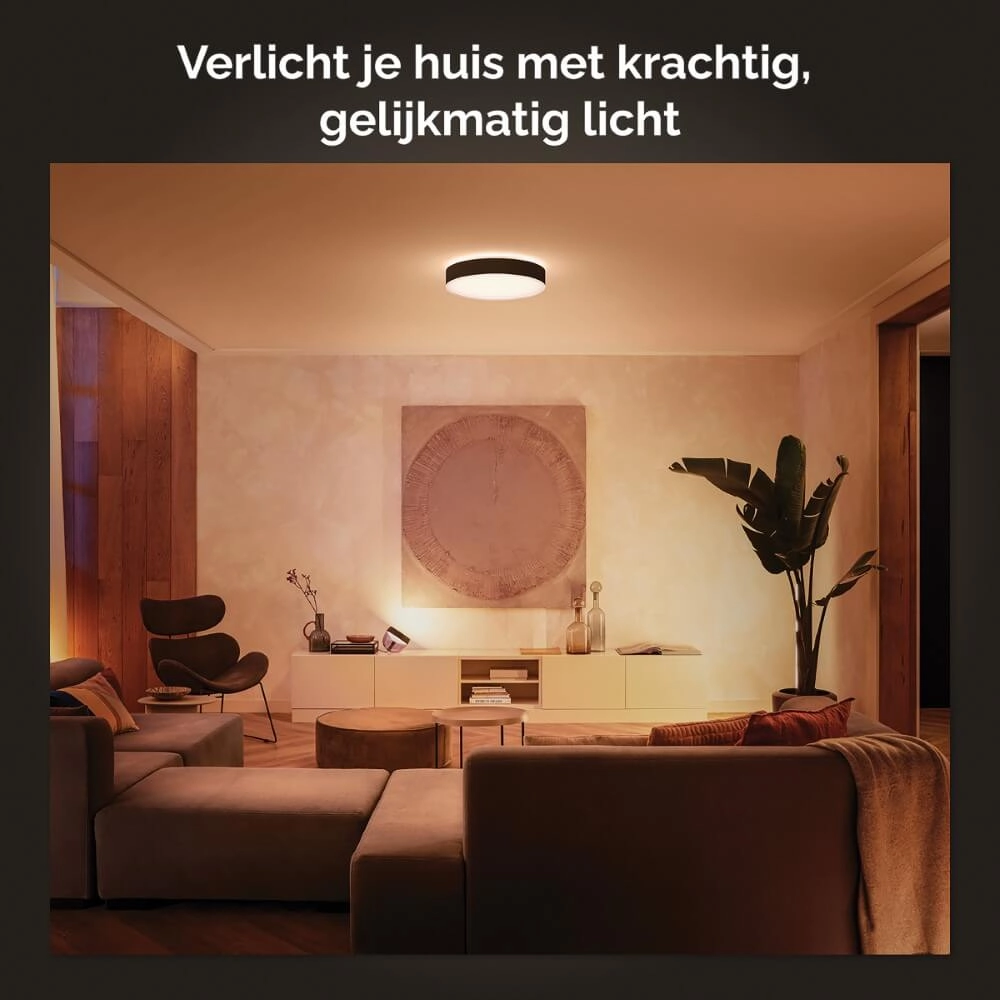 Plafondlamp Hue Enrave XL - White Ambiance Ø 55,1cm zwart Philips 8718696176481