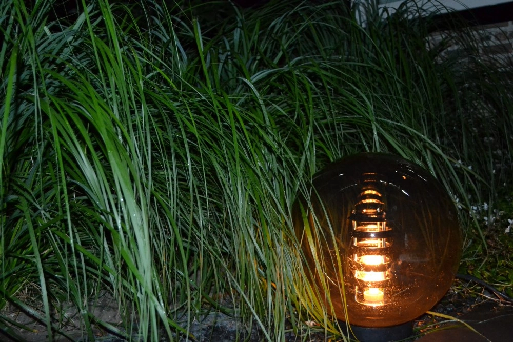 Lichtbron 4W - E27 - 12 volt (A60) warm wit Lyora 5907800855180