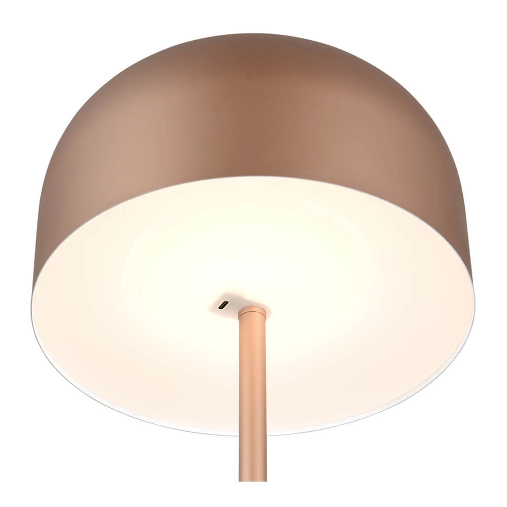 Oplaadbare vloerlamp Jeff koffiebruin Trio 4017807640915