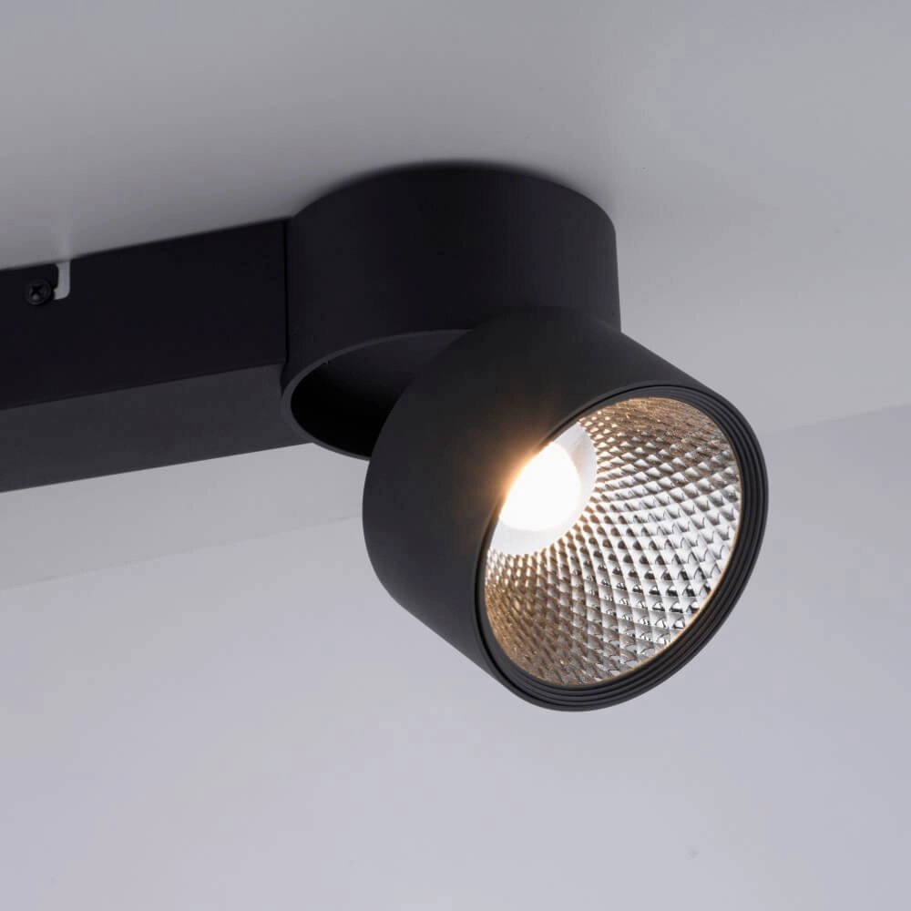 Plafondlamp Pure Nola 2-lichts zwart Paul Neuhaus 4012248372005
