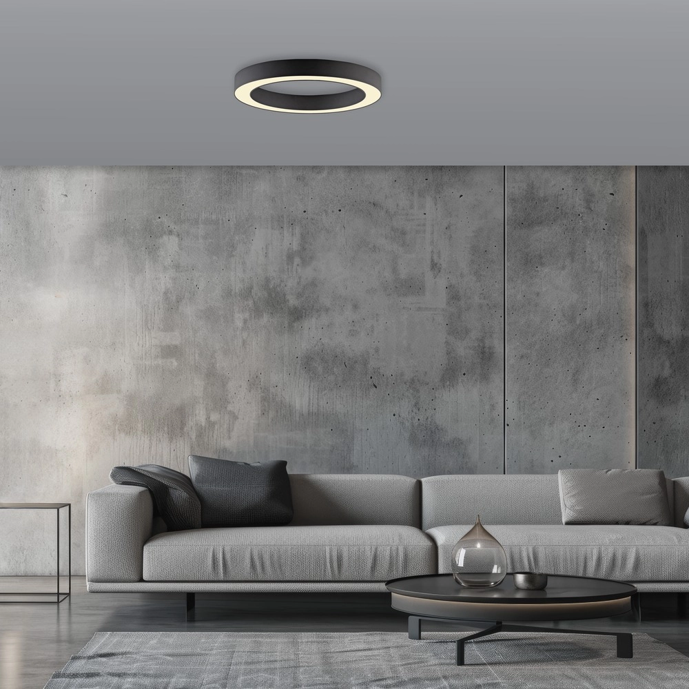 Strakke led plafondlamp Pure Lines Round Ø 35cm - graphite Paul Neuhaus 4012248395219