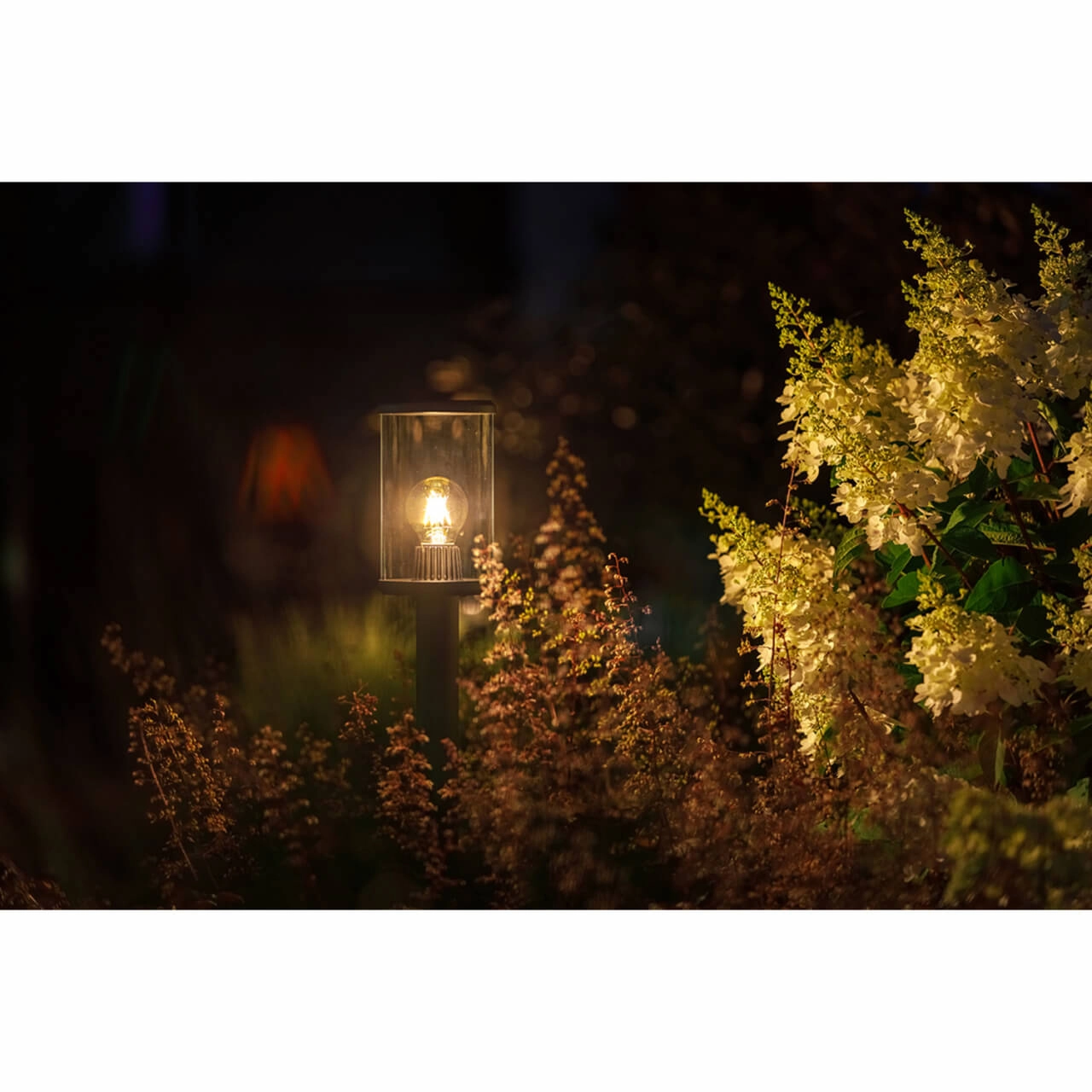 Terrace lamp Eros Low black Lightpro 8719979282813
