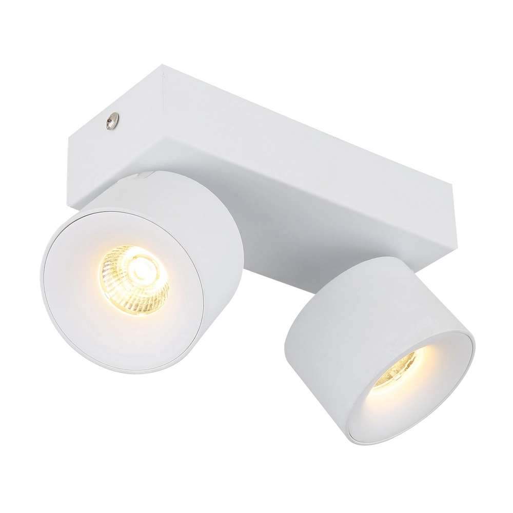 Strakke plafondlamp Rae 2-lichts wit