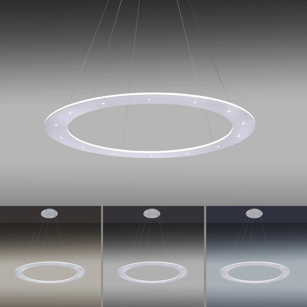Led hanglamp Pure Cosmo geborsteld metaal - Ø 75cm Paul Neuhaus 4012248350751