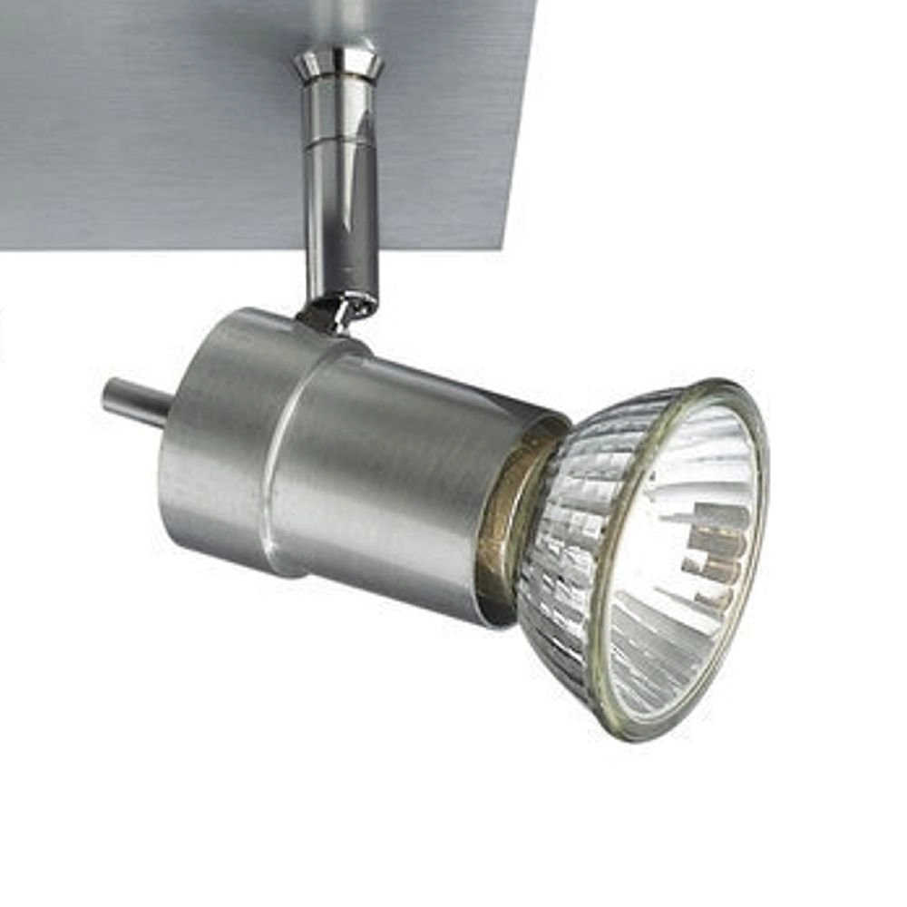 Plafondspot Titan rvs Philips 8718696156018