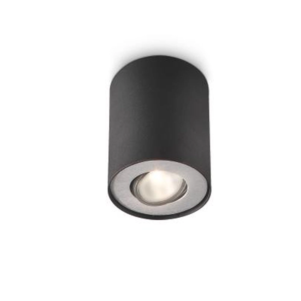 Plafondspot Pillar