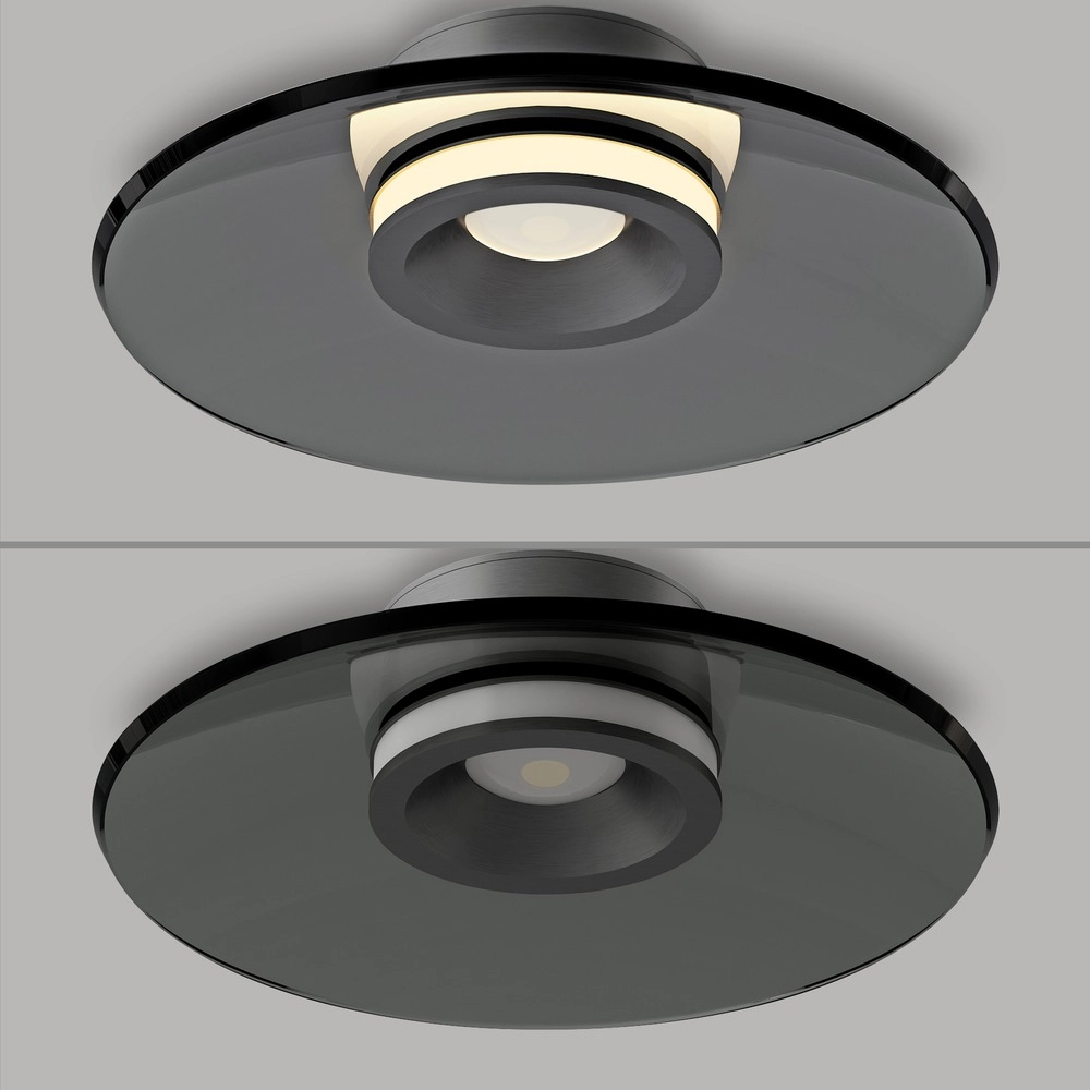 Plafondlamp Pure Moon Ø 32cm - platin met smoke glas Paul Neuhaus 4012248386330