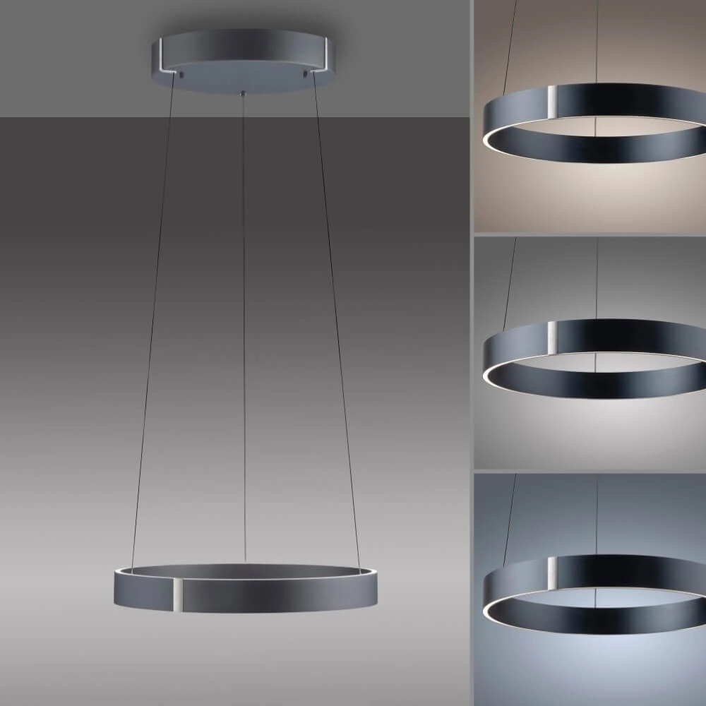 Ronde hanglamp Pure E-Clipse grijs Ø 50cm Paul Neuhaus 4012248372319