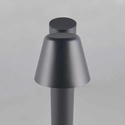Tuinlamp 60cm Beni antraciet Trio 4017807691436