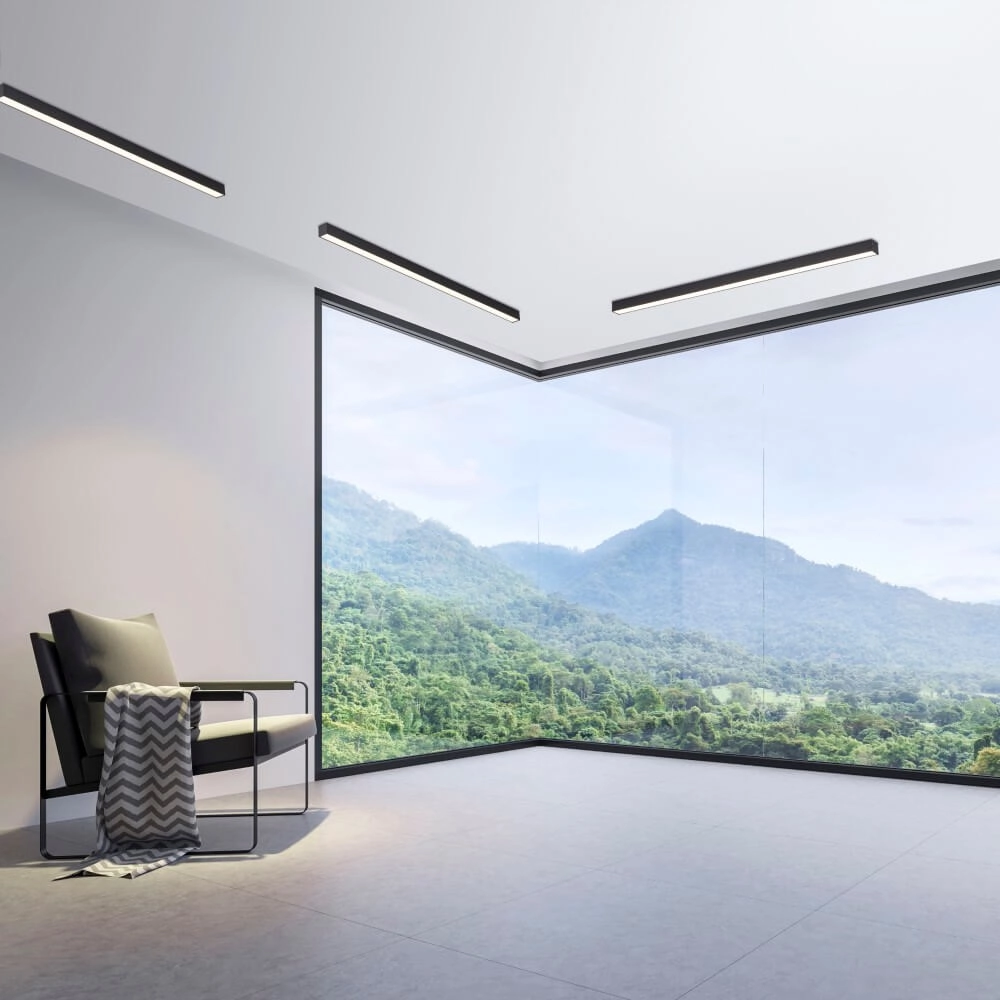 Strakke plafondlamp Pure Lines Straight antraciet Paul Neuhaus 4012248357903