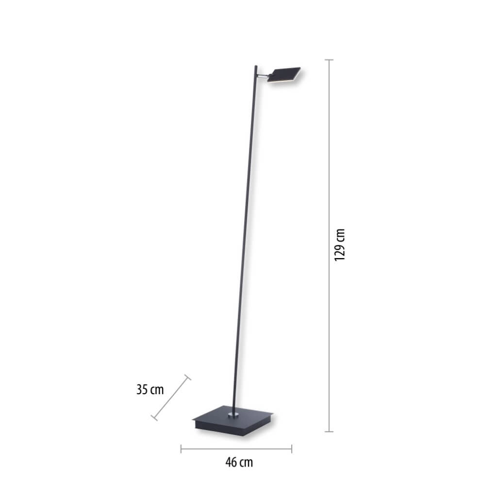 Design vloerlamp Pure Mira zwart Paul Neuhaus 4012248365489