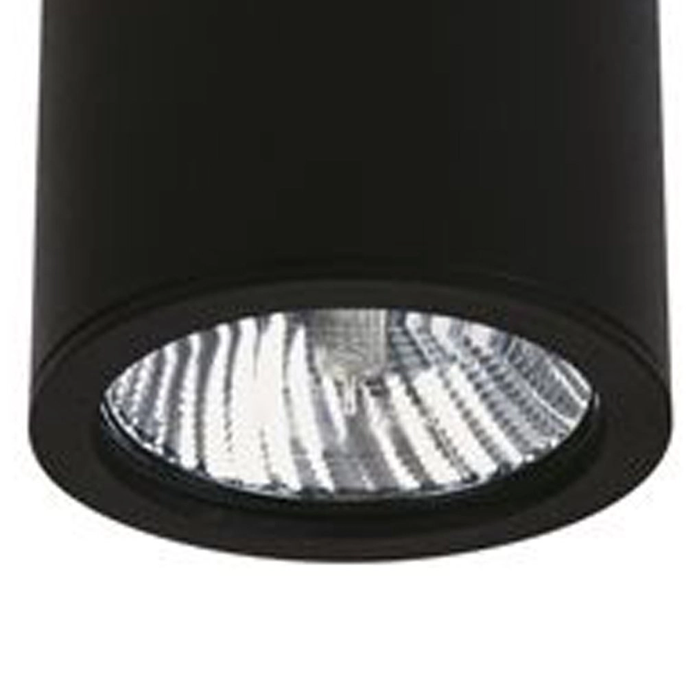 Plafondspot Yori 12w - zwart Albert 4007235623802