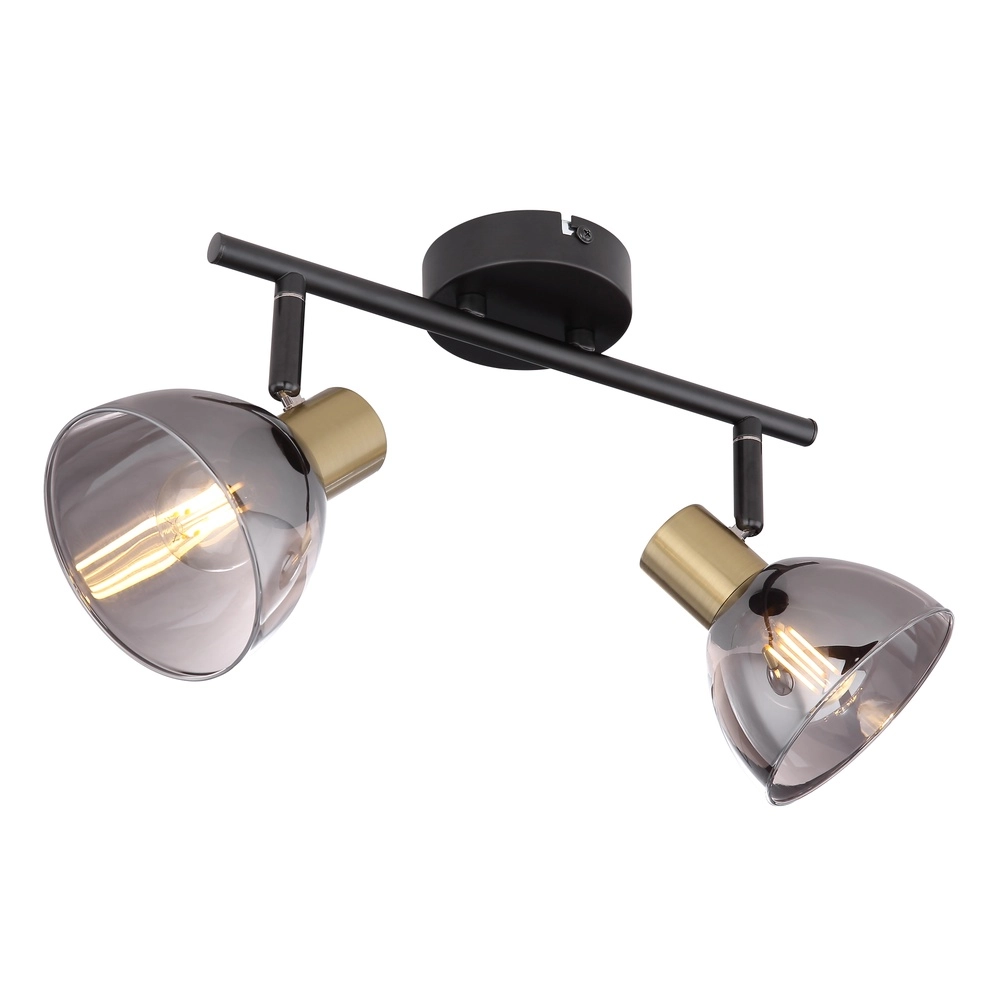 Design plafondlamp Jay 2-lichts zwart met smoke