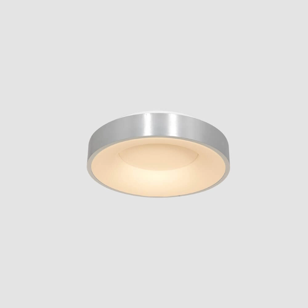 Ø 30cm plafondlamp Ringlede met led Steinhauer 8712746135794