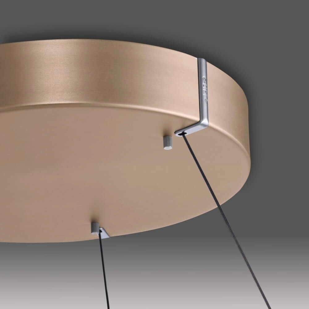Strakke hanglamp Pure E-Loop messing Paul Neuhaus 4012248372265