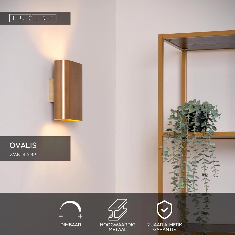 Design wandspot Ovalis goud Lucide 5411212126955