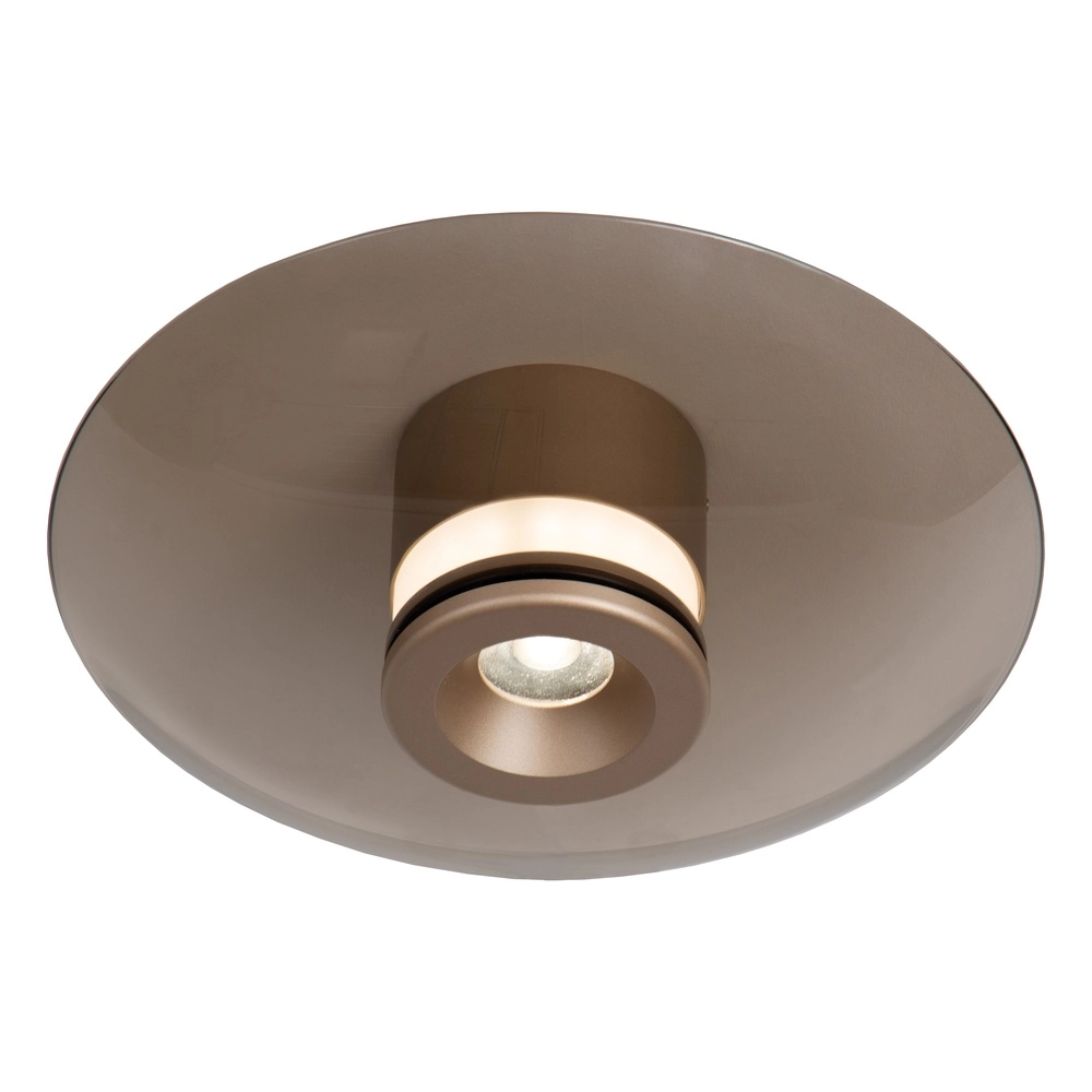 Led plafondlamp Santiago Ø 23cm - champagne met amber glas
