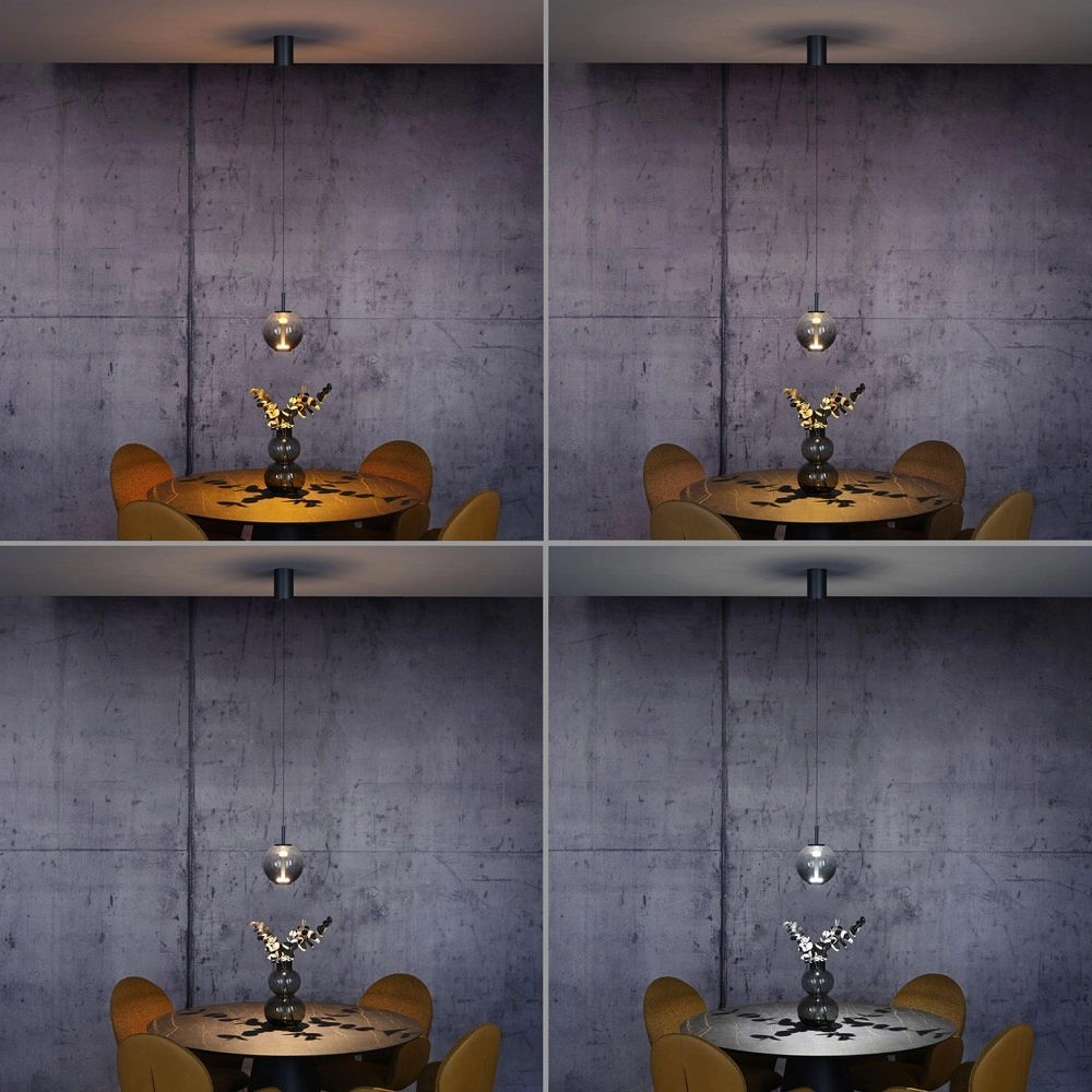 Led hanglamp Pure Infinity met smoke glas - Ø 18cm Paul Neuhaus 4012248399033