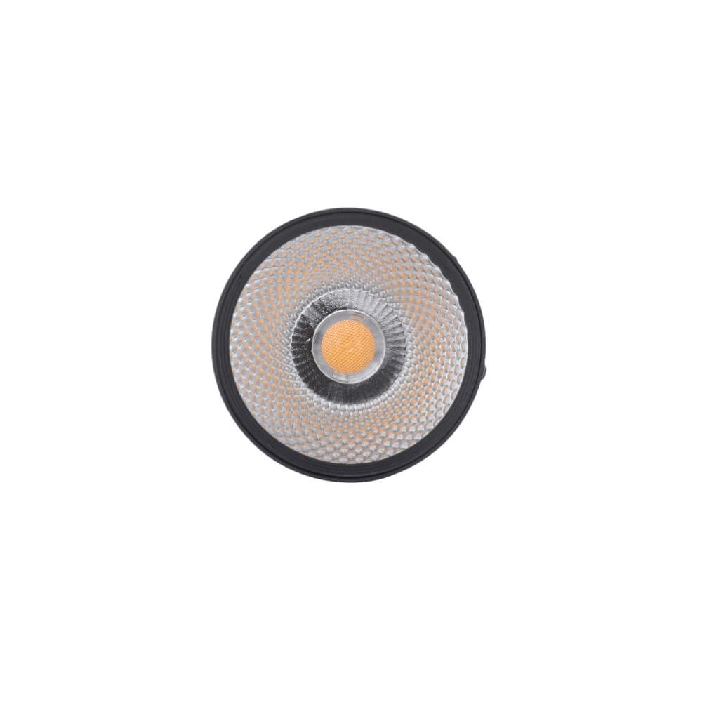 Opbouwspot Pure Nola zwart Paul Neuhaus 4012248371992