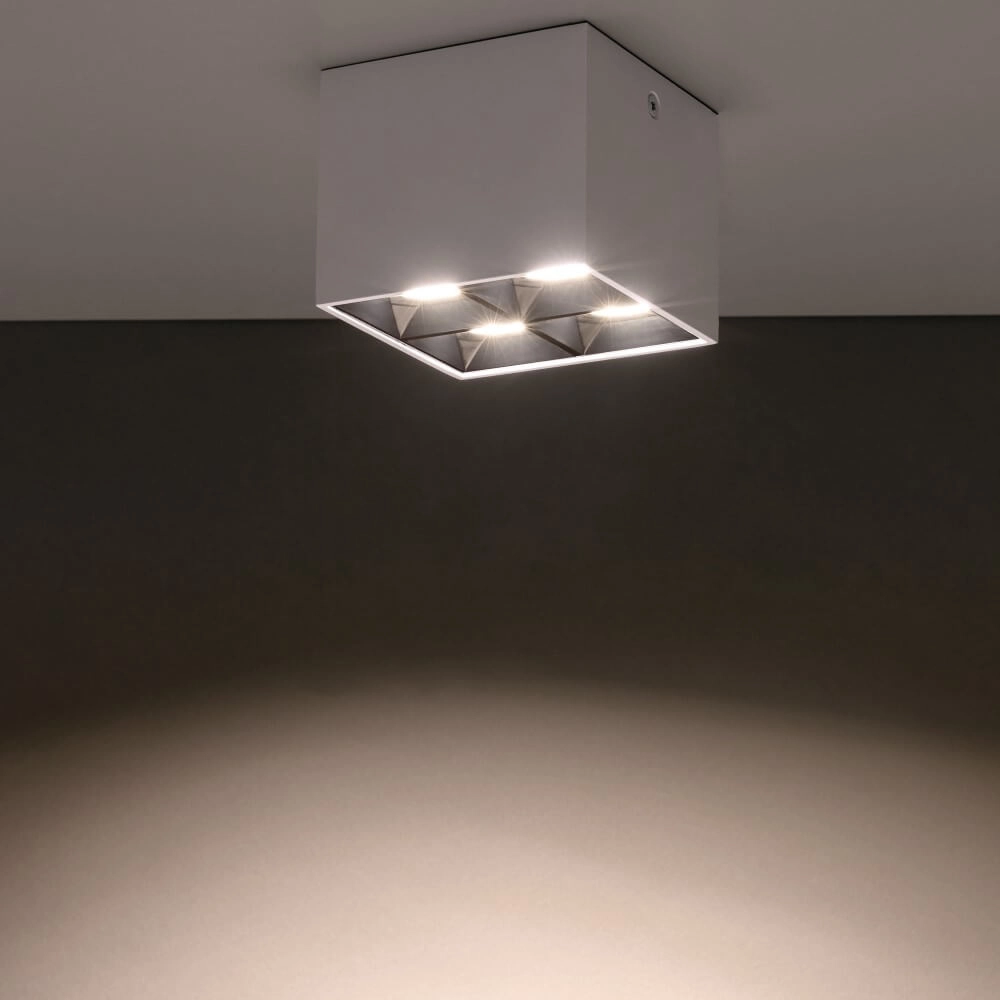 Witte opbouwspot Midi Led 2x2 leds - 4000K Lyora 5903139100519