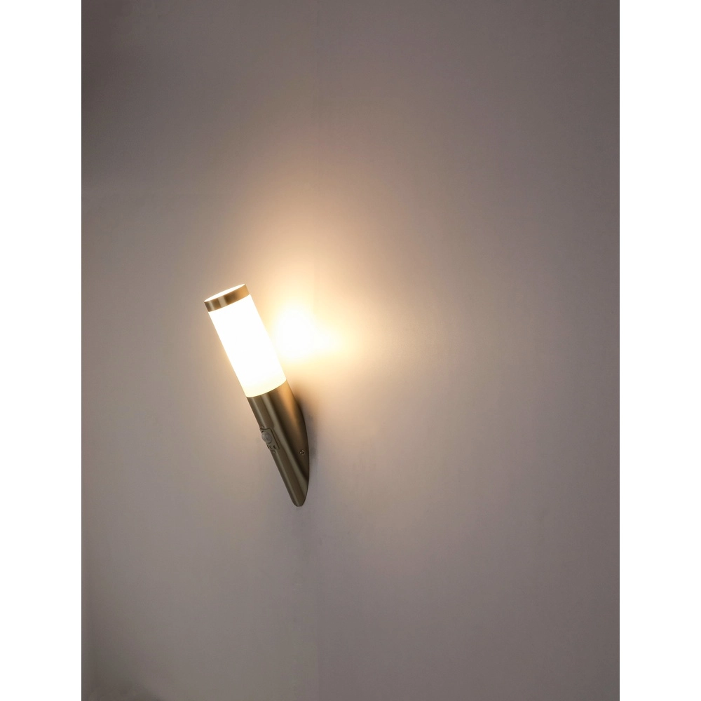 Buitenlamp Boston Led RVS met wit en sensor Globo 9007371282333
