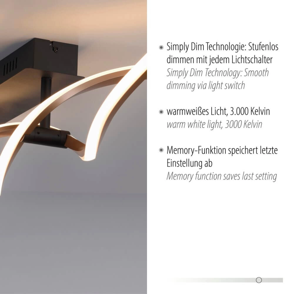 Design plafondlamp Polina 106cm Paul Neuhaus 4012248371725