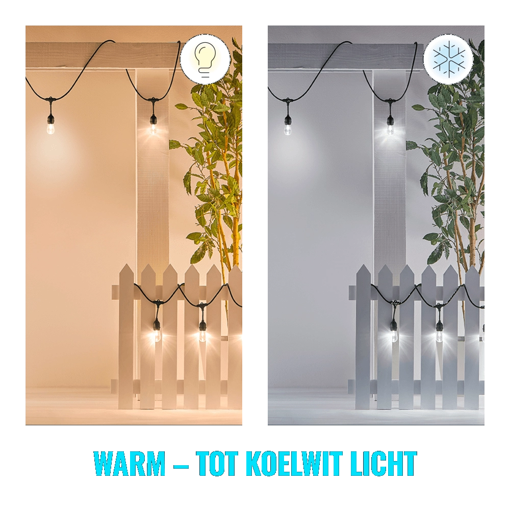 String Lights met 12 slimme sfeerlampjes WiZ 8719514554450