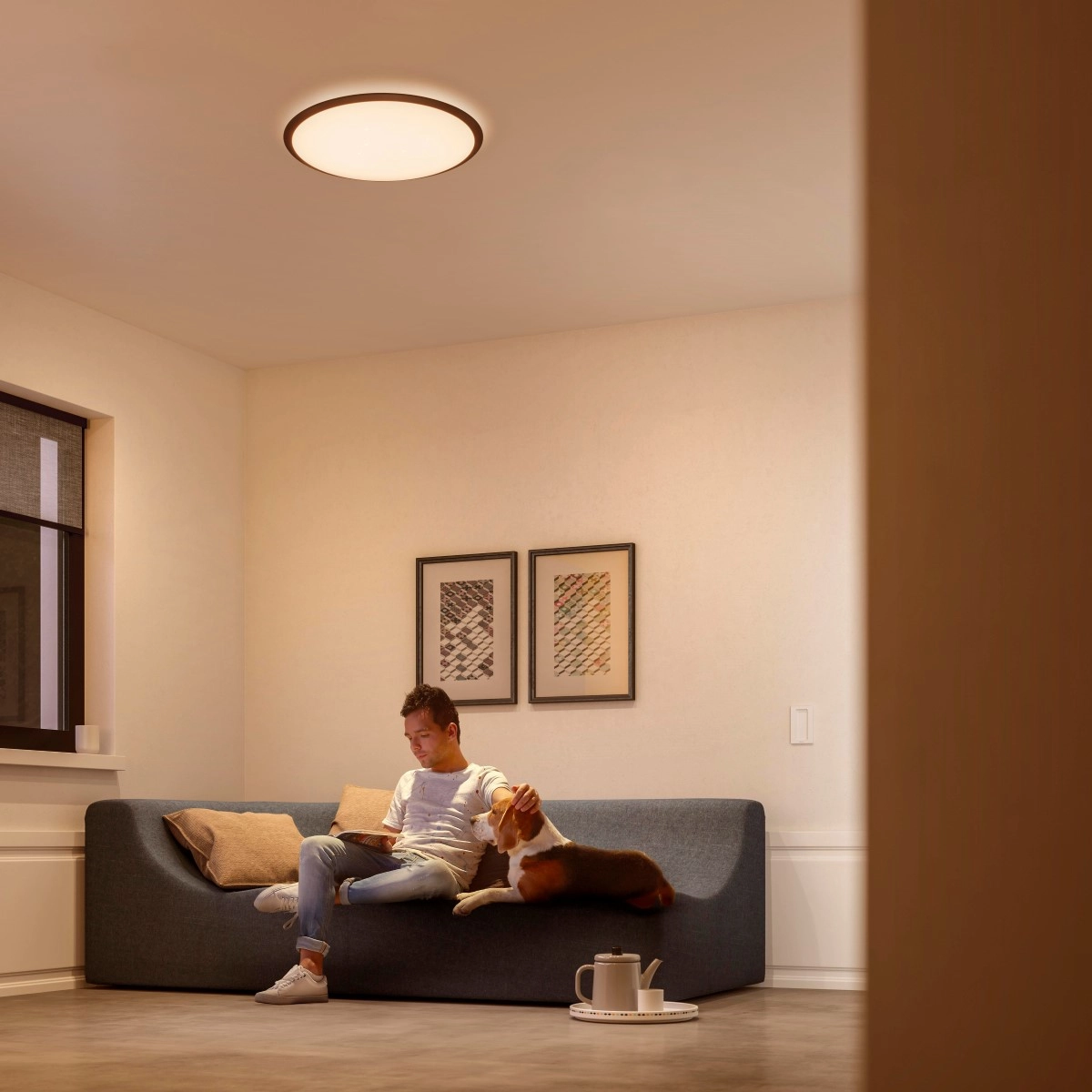 Led plafondlamp Cavanal 35 Philips 8718696169285