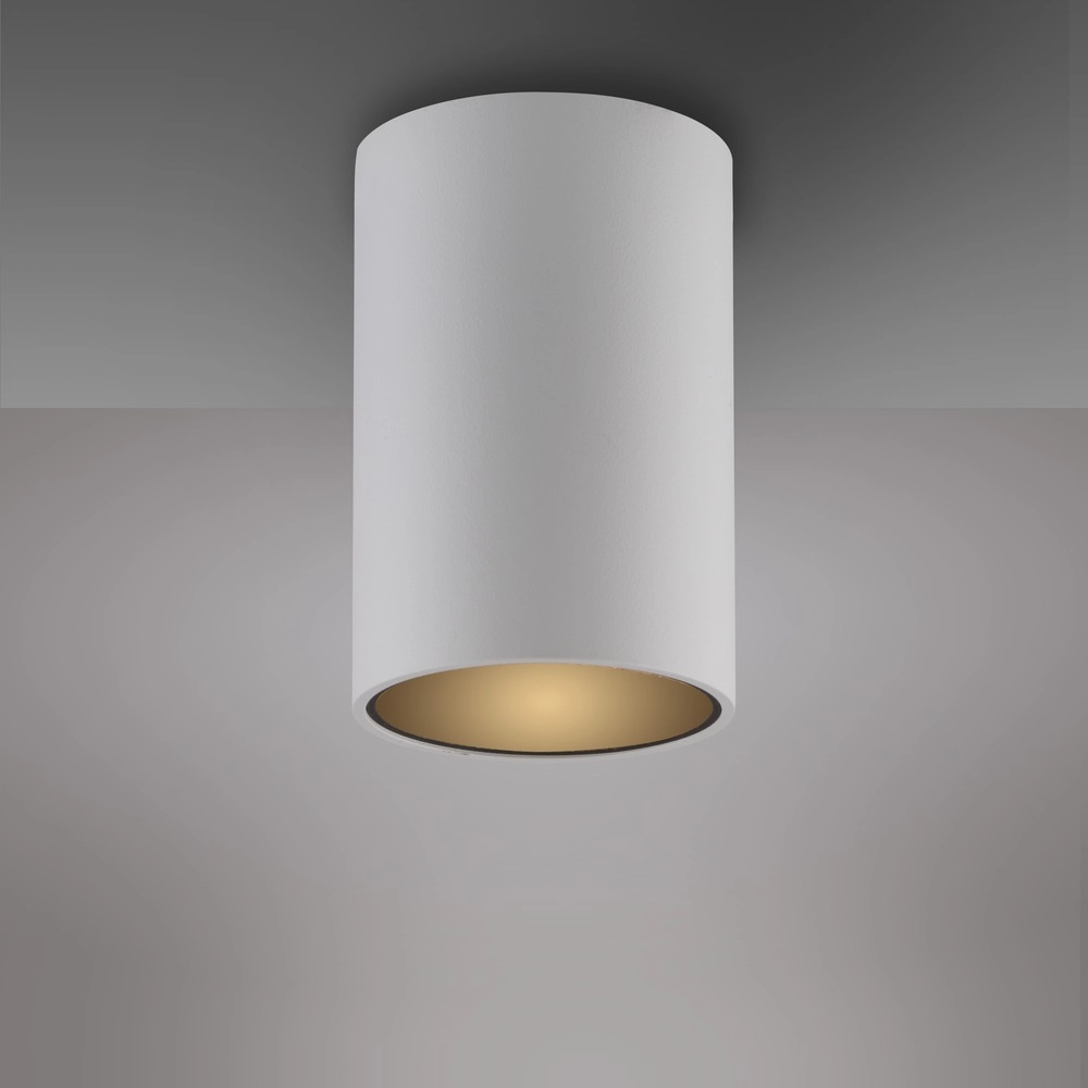 Plafond opbouwspot Pure Point Ø 6cm - wit Paul Neuhaus 4012248395660