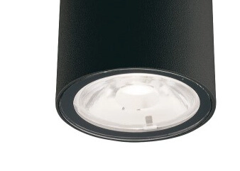 Plafondspot buiten Edesa zwart Lyora 5903139911092