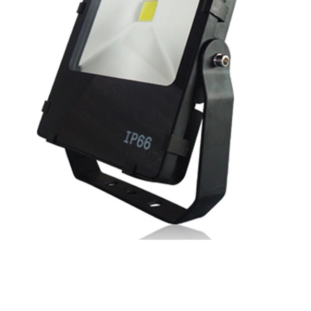 Ledspot Floodlight Franssen 8717064119686