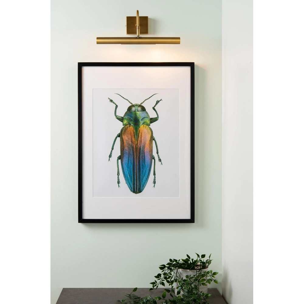 Schilderijlamp Vinz goud Lucide 5411212452184