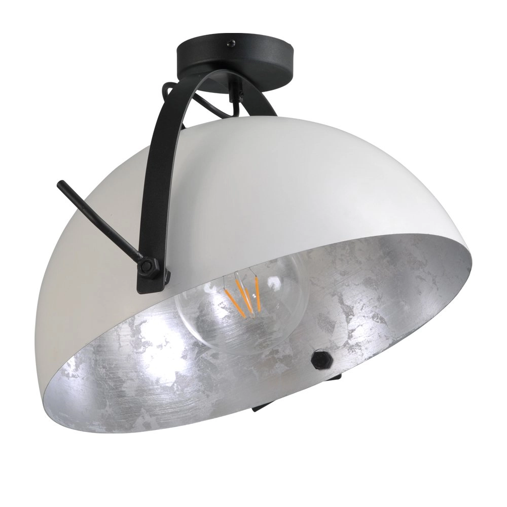 Plafondlamp Industria Landelijk Masterlight 8718121236414