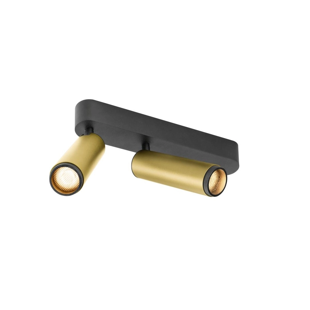 Opbouwspot Grip! M 2-lichts goud 2700K