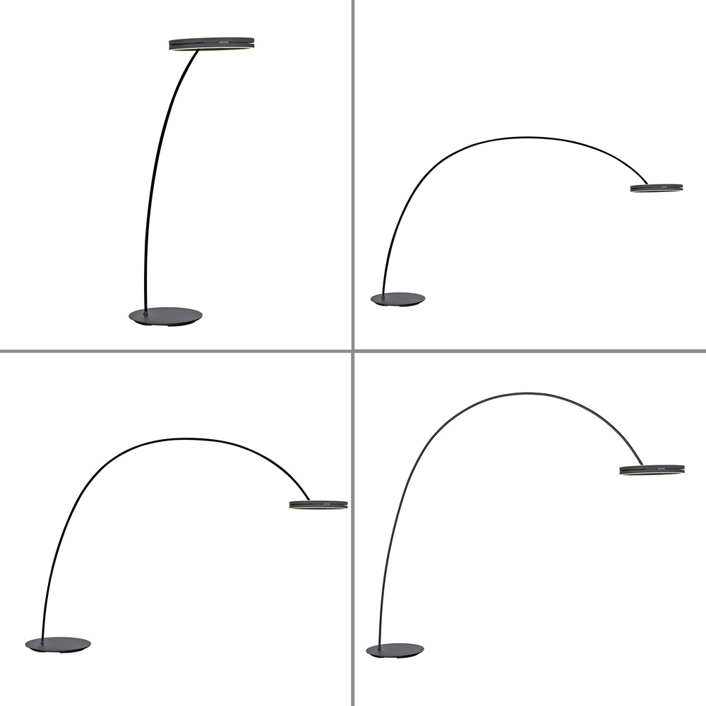 Strakke booglamp Pure Loop-Bow verstelbaar - black pearl Paul Neuhaus 4012248397152