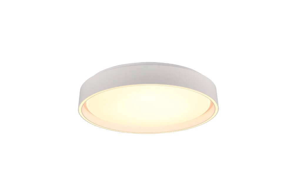 Plafondlamp Felis met afstandsbediening Trio 4017807588064
