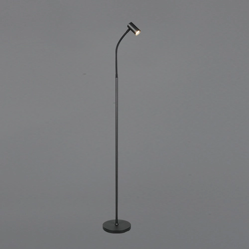 Design vloerlamp Taryn zwart Trio 4017807685756
