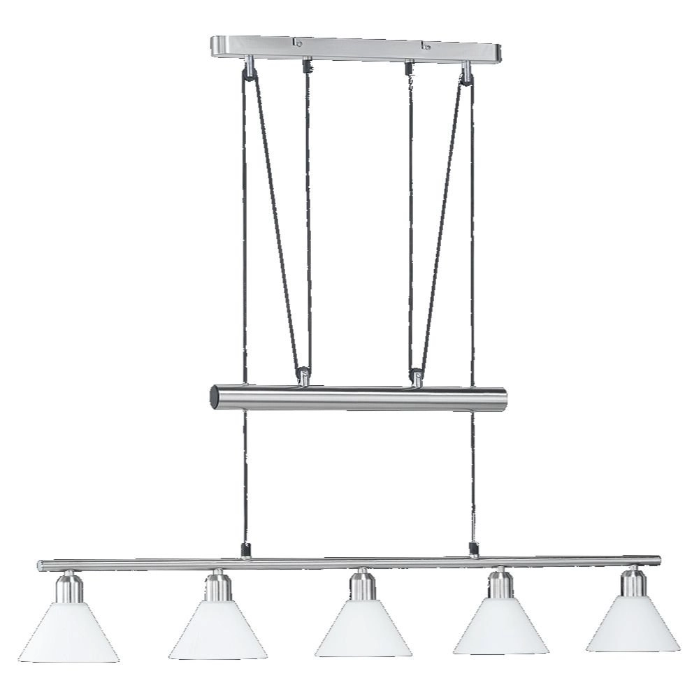 Moderne Hanglamp Series 3751 5-lichts nikkel mat
