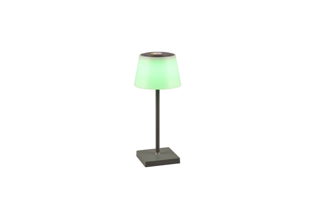 Oplaadbare tafellamp Sanchez antraciet Trio 4017807570595