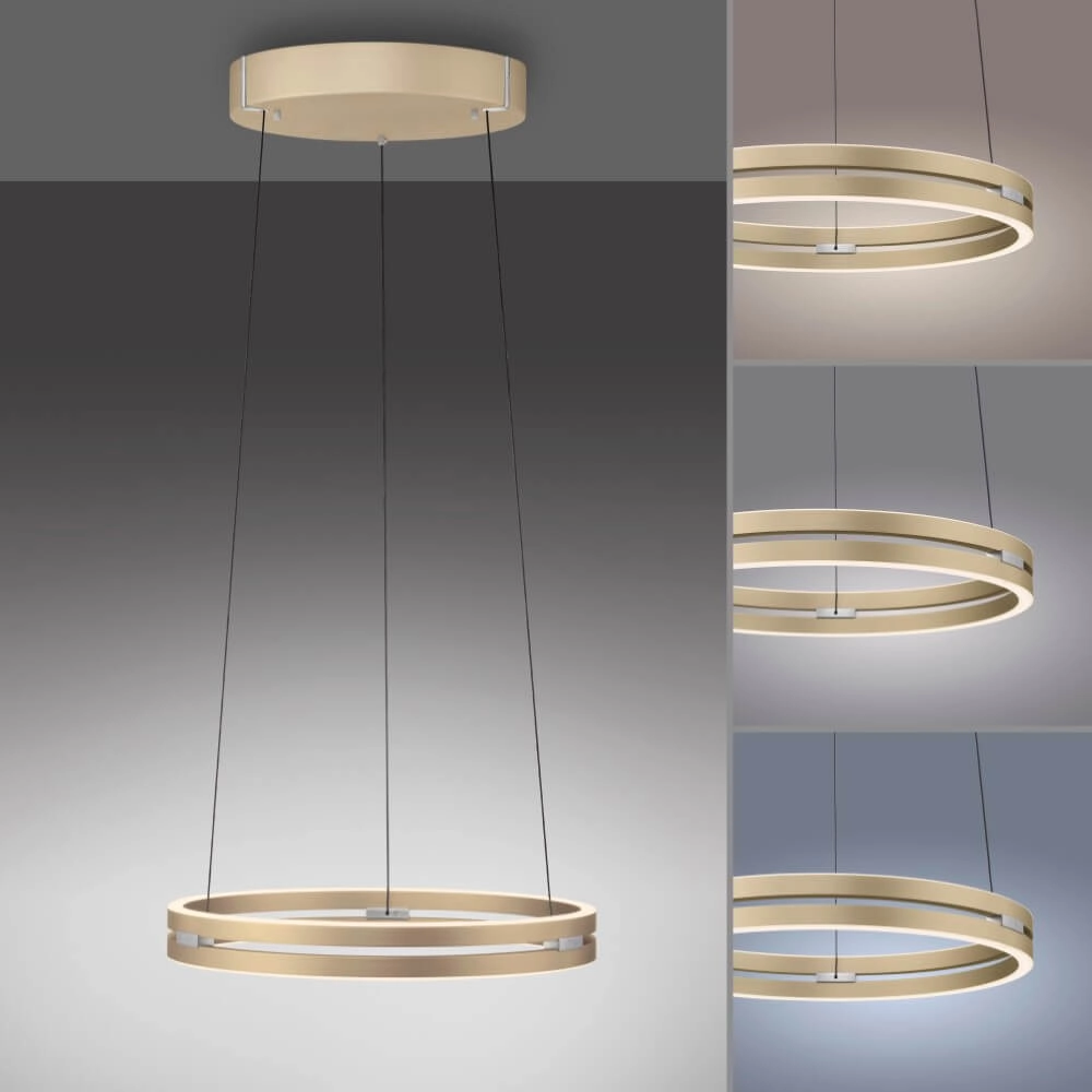 Strakke hanglamp Pure E-Loop messing Paul Neuhaus 4012248372265