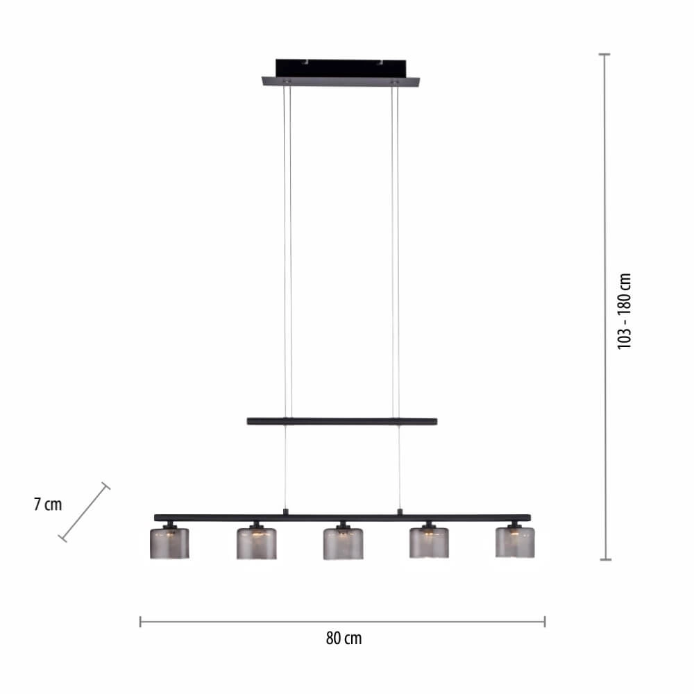 5-lichts hanglamp Hydra zwart Paul Neuhaus 4012248364970