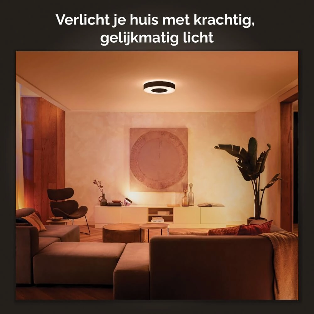 Plafondlamp Hue Infuse M - White and color Ø 38,1cm zwart Philips 8718696176504