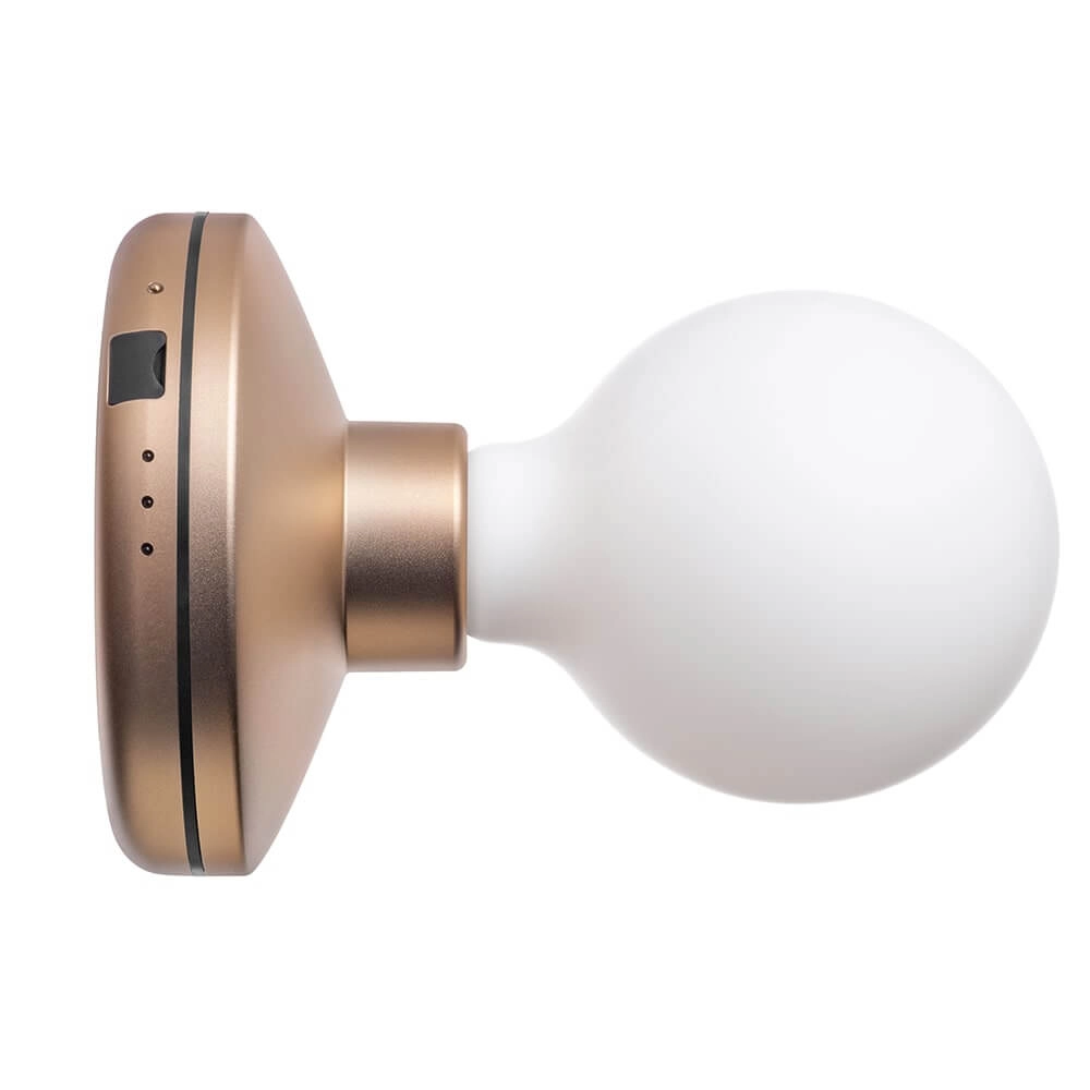 Oplaadbare wandlamp Bee Gold Frosted Humble 7446023299282